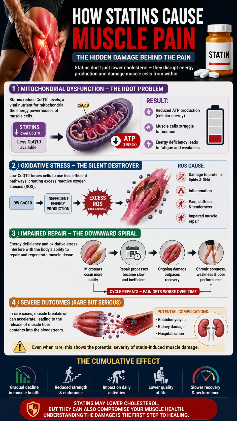 How statins affect muscle health