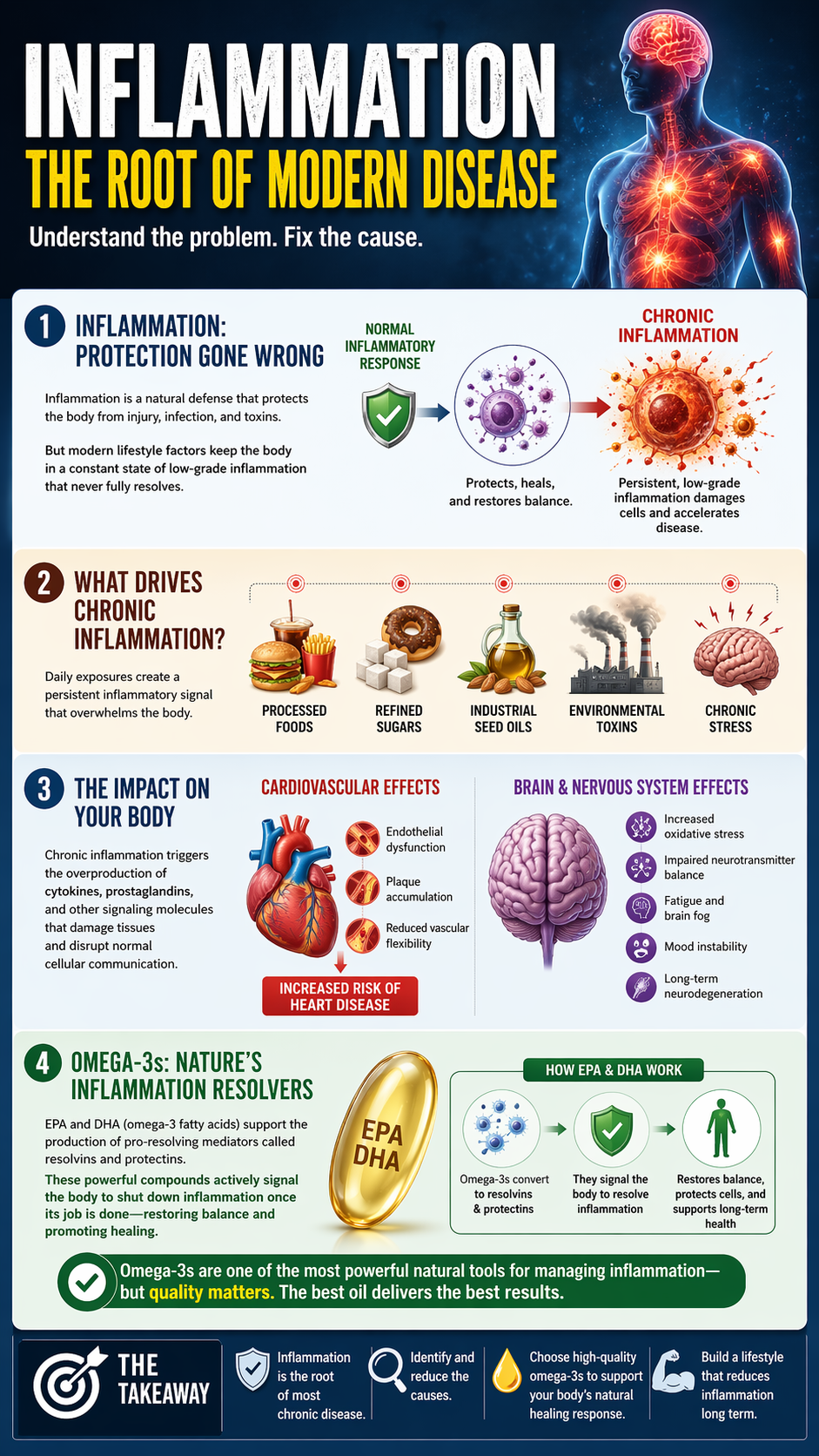 Understanding inflammation and omega-3s guide