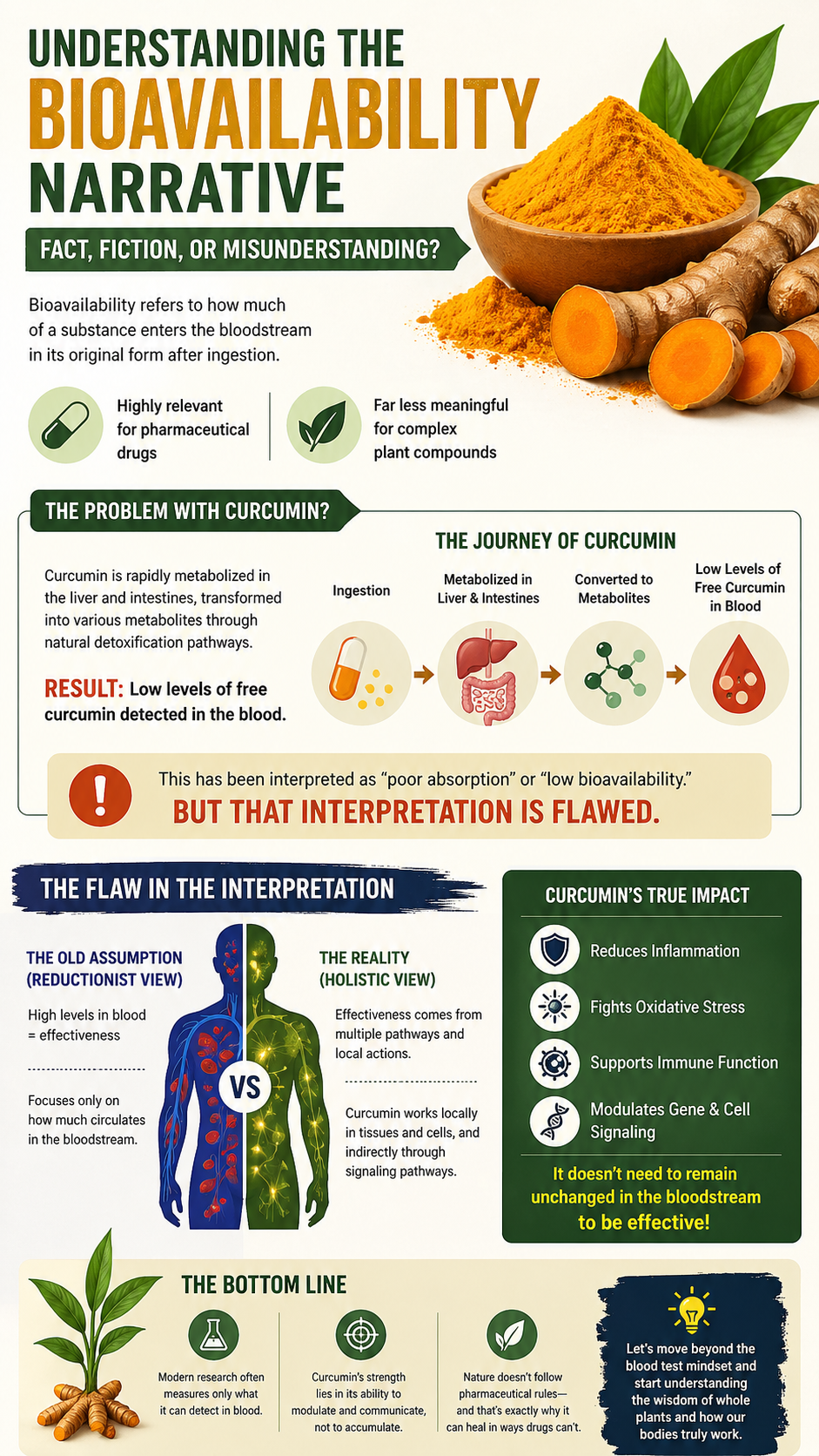 Understanding turmeric bioavailability's puzzle