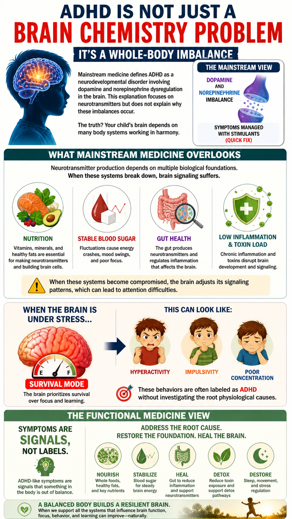 ADHD A Whole-Body Approach to Treatment
