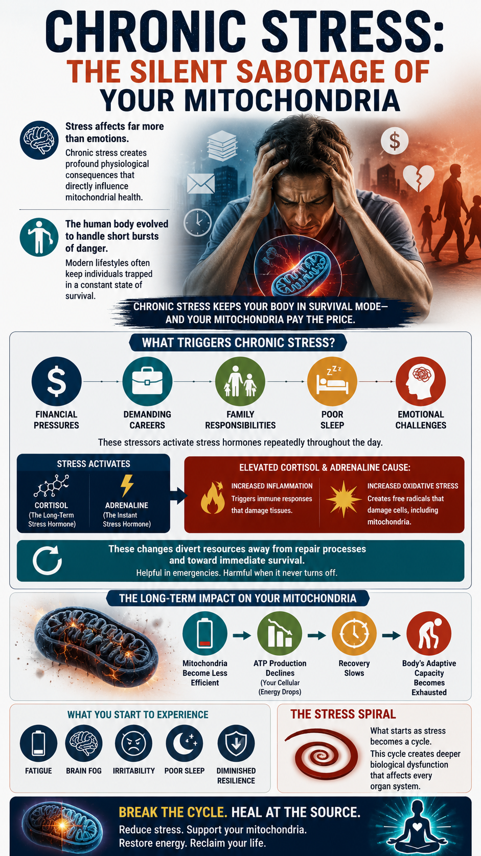 Chronic stress and mitochondrial health impacts