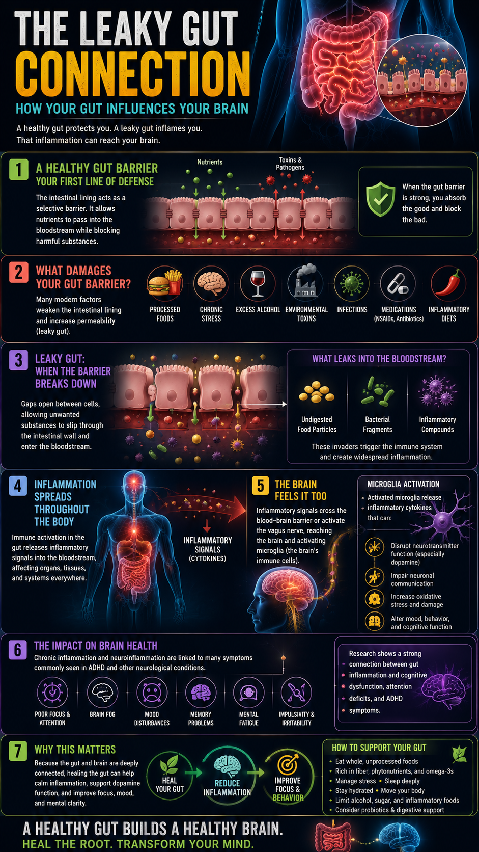 Connecting gut health to brain function