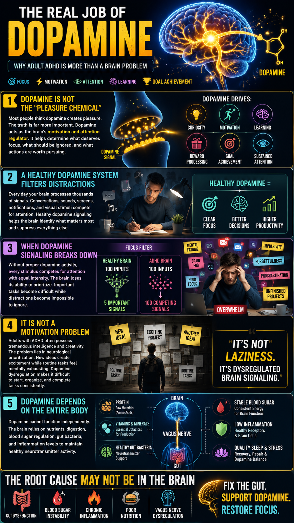 Dopamine and ADHD A Comprehensive Guide