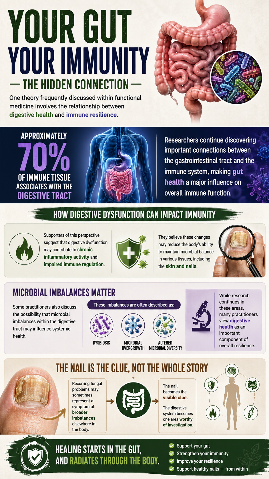 Gut health influences overall immunity