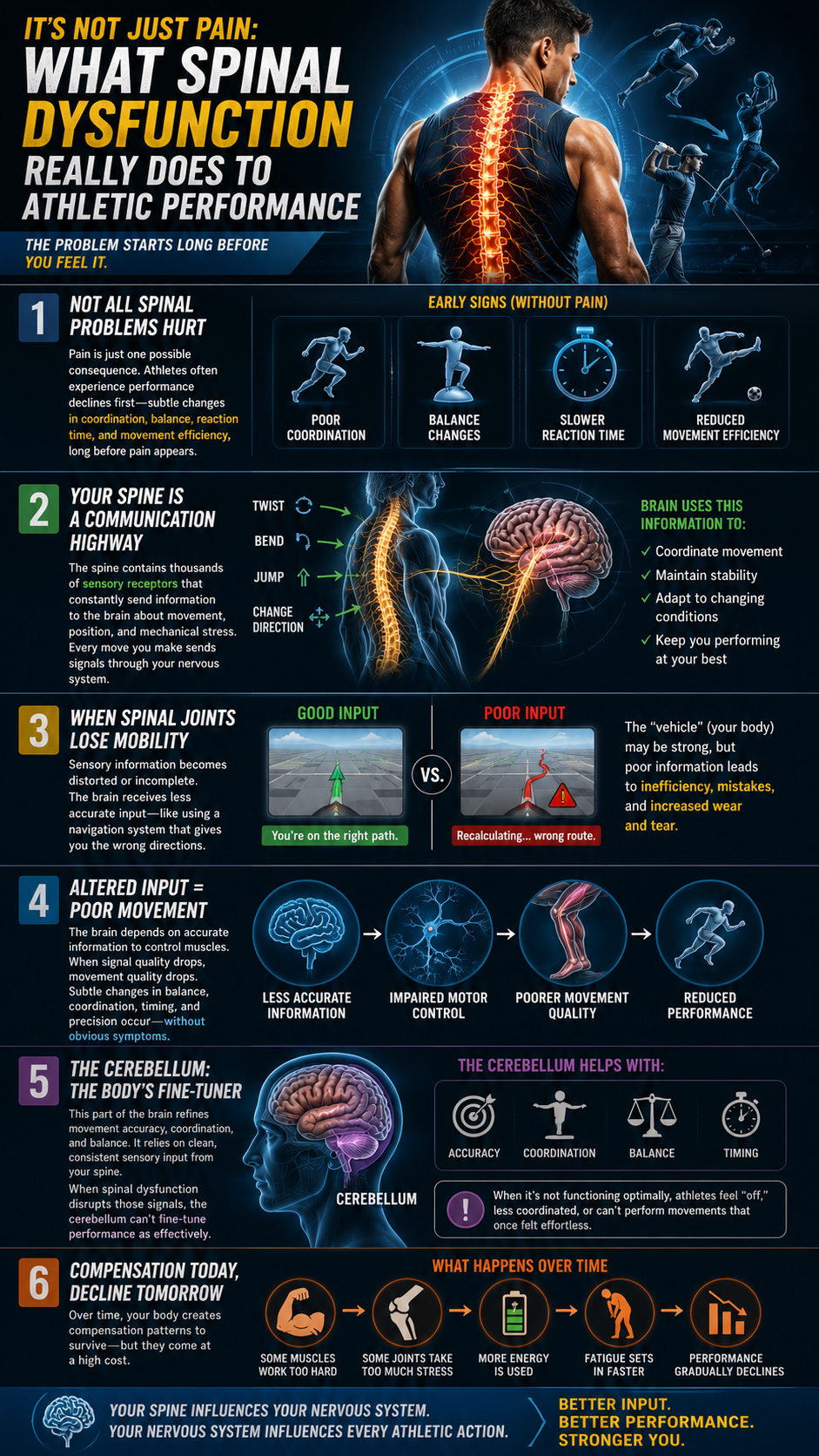 Spinal health and athletic performance infographic