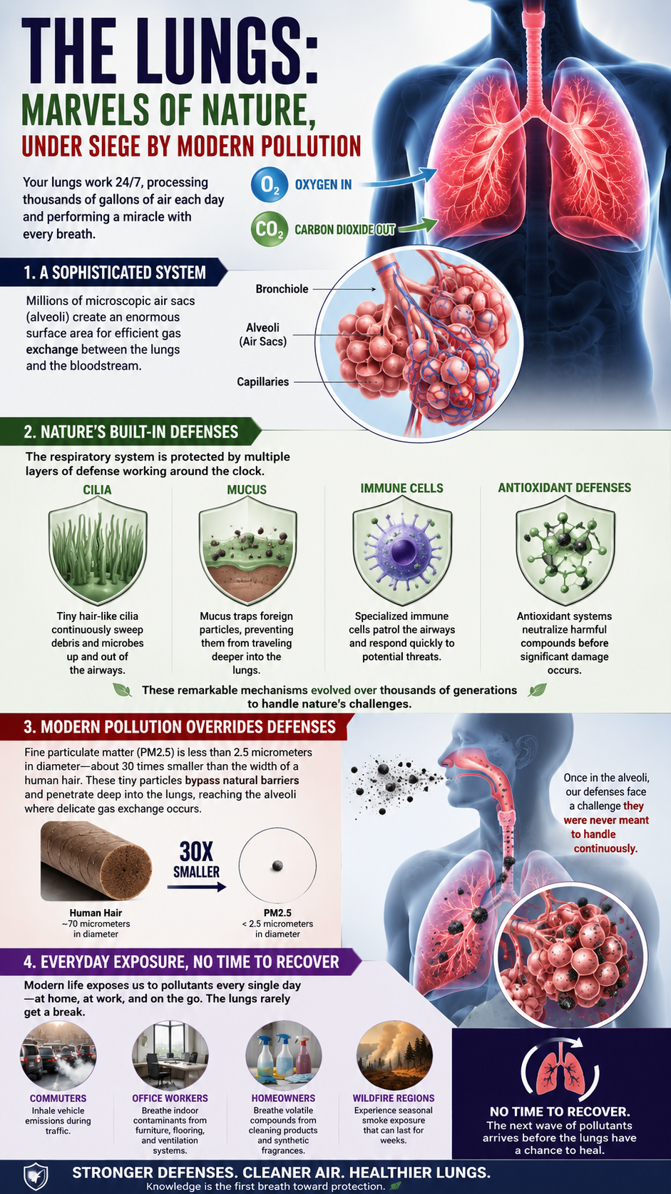 The lungs under siege by pollution