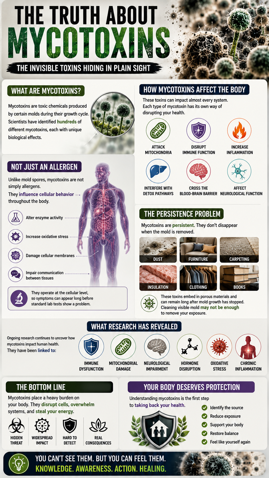 The truth about mycotoxins explained