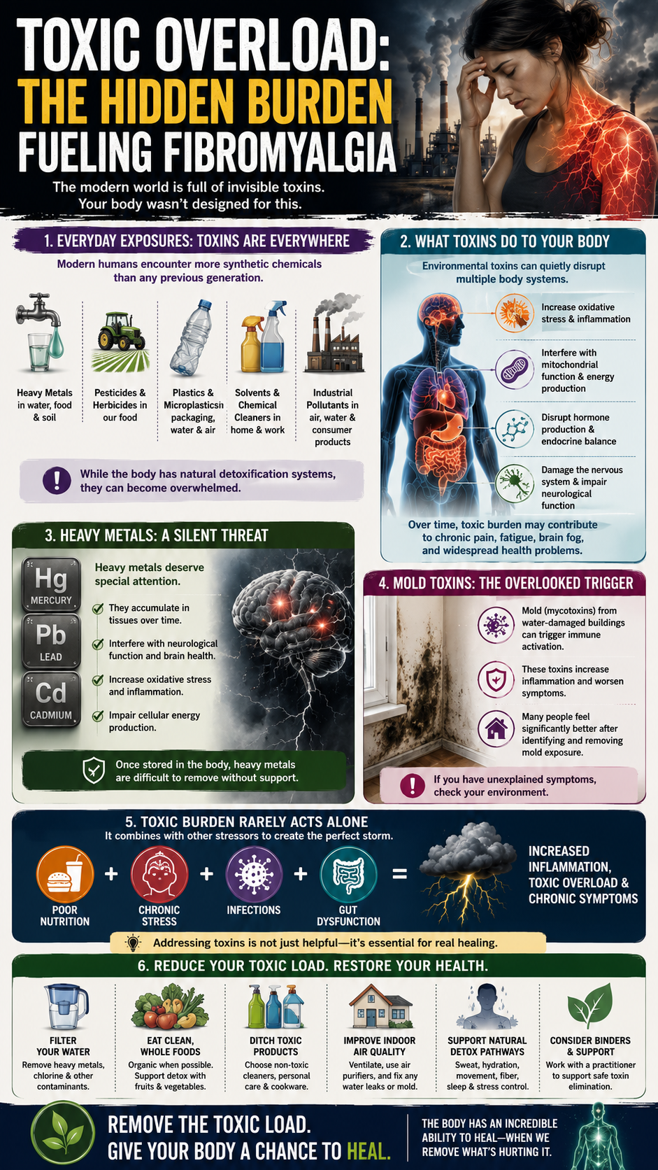 Toxic overload and health impact