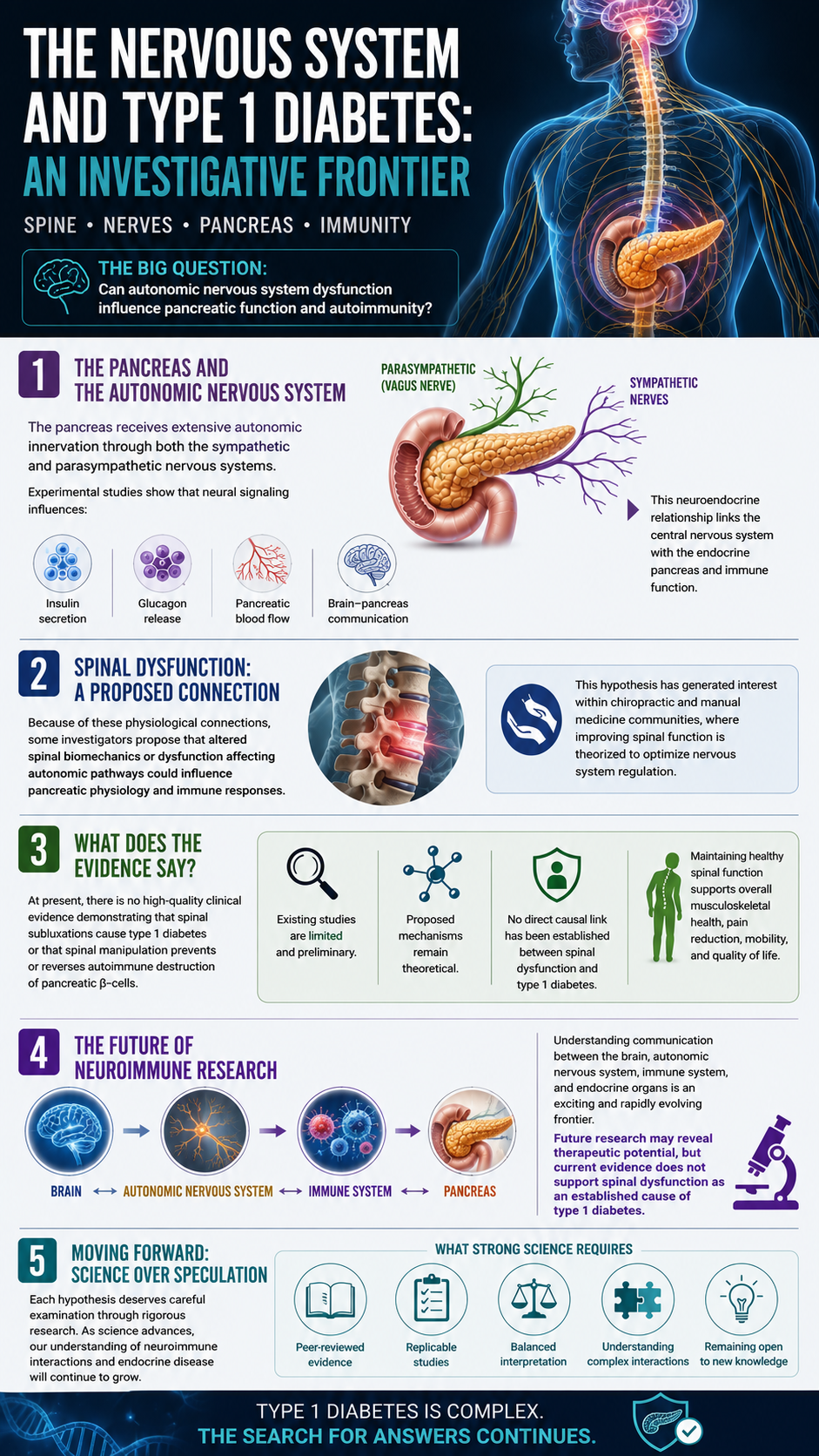 Exploring the link between nervous system and diabetes