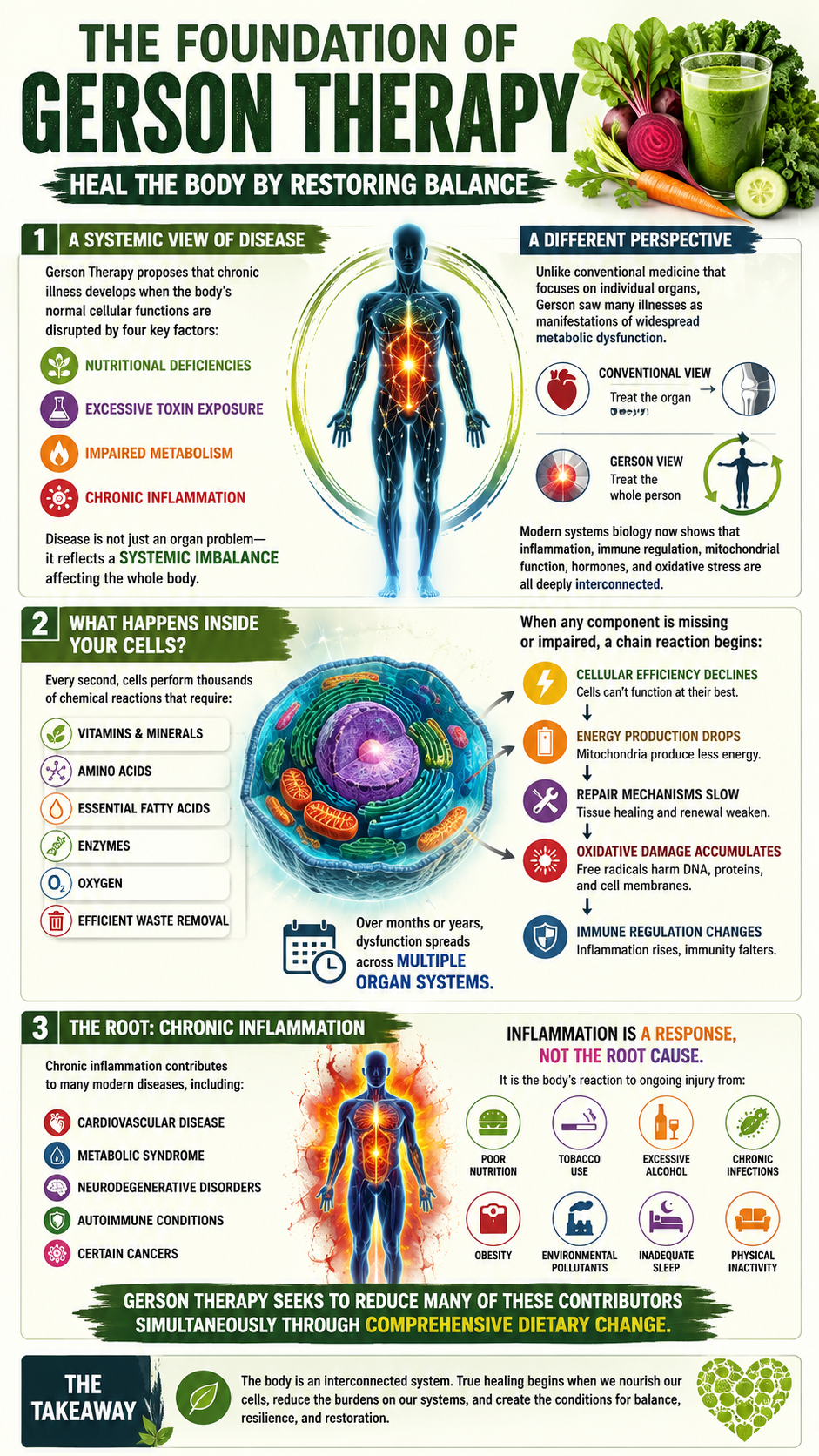 Gerson Therapy Restoring Balance to Heal