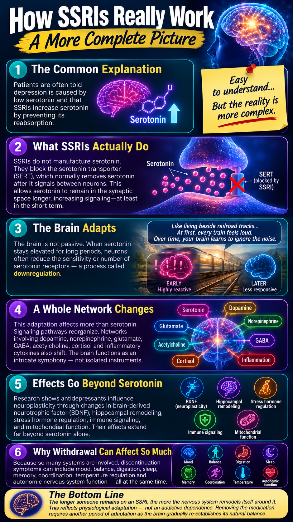 How SSRIs work A deeper look