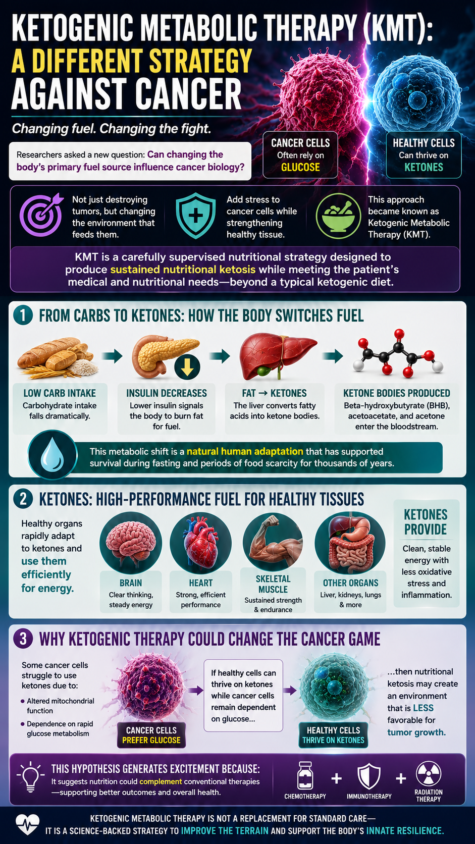 Ketogenic metabolic therapy A cancer strategy