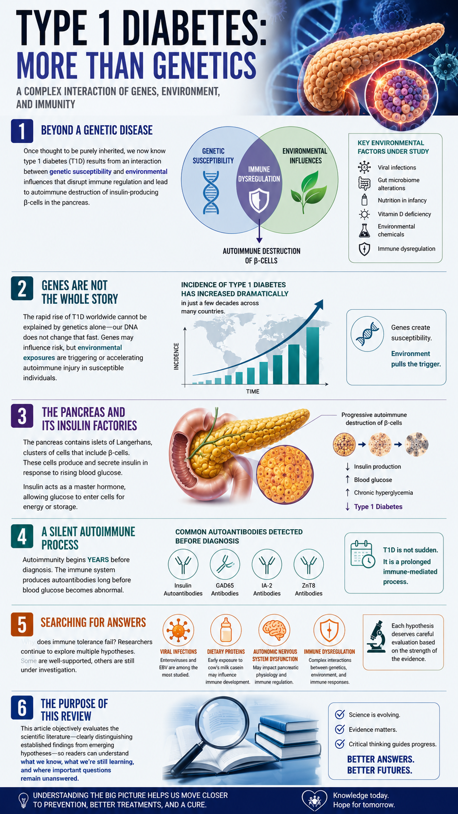 Type 1 diabetes Beyond genetics explained