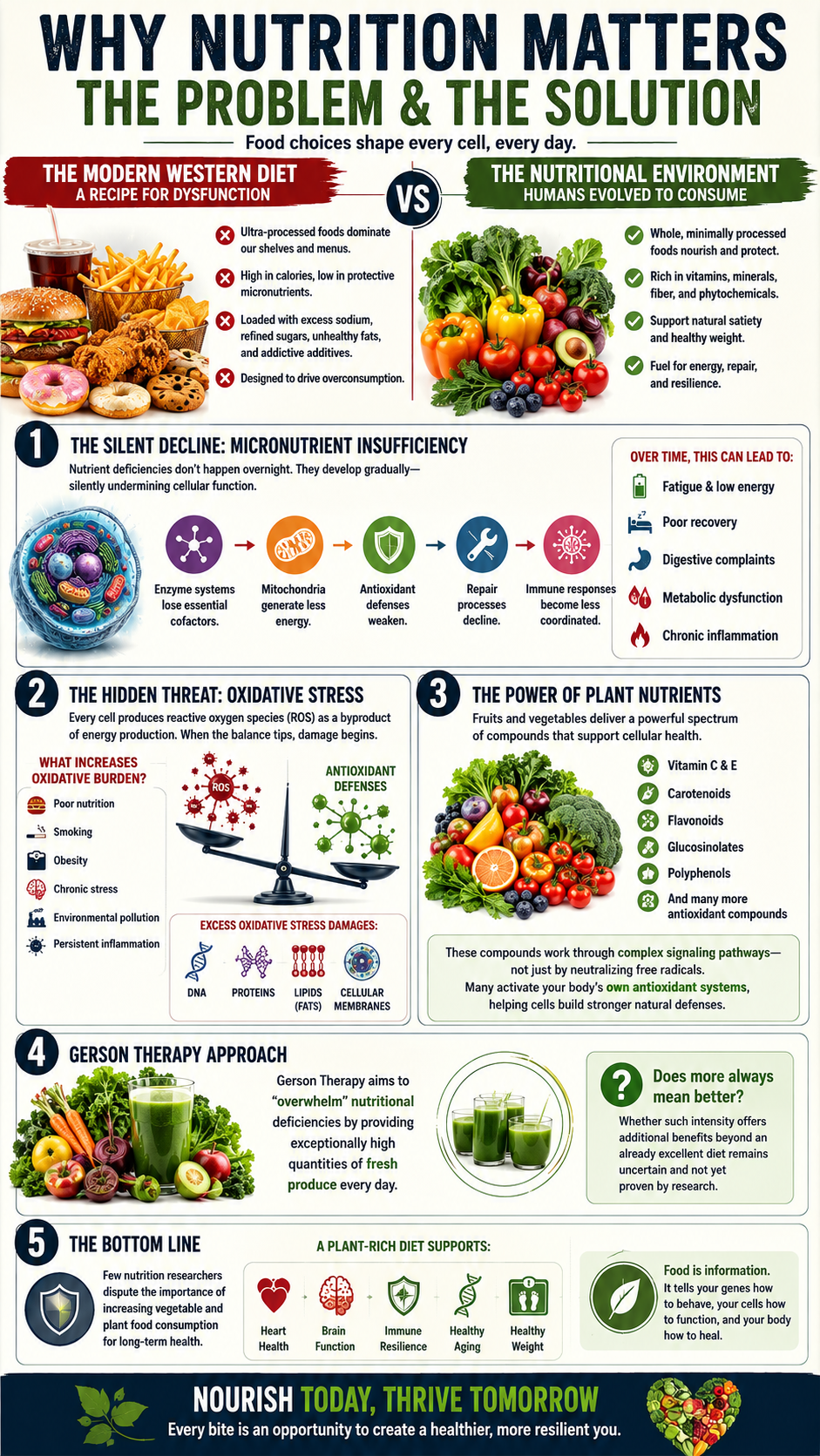 Why nutrition matters Gerson Therapy explained