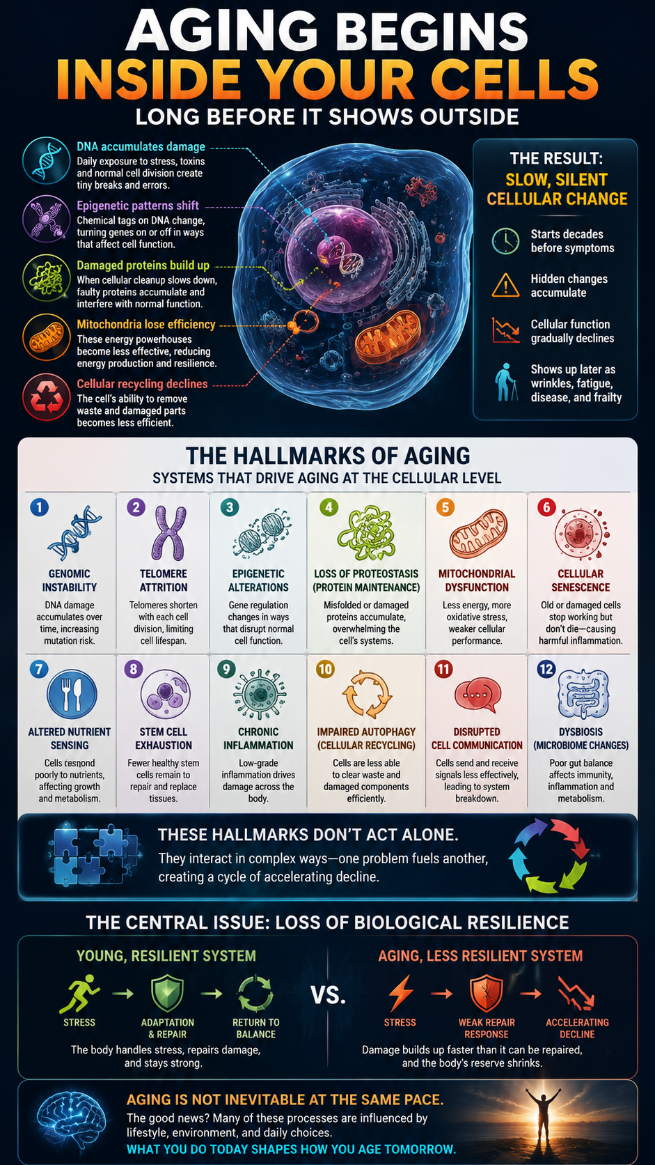 Aging Begins Inside Your Cells