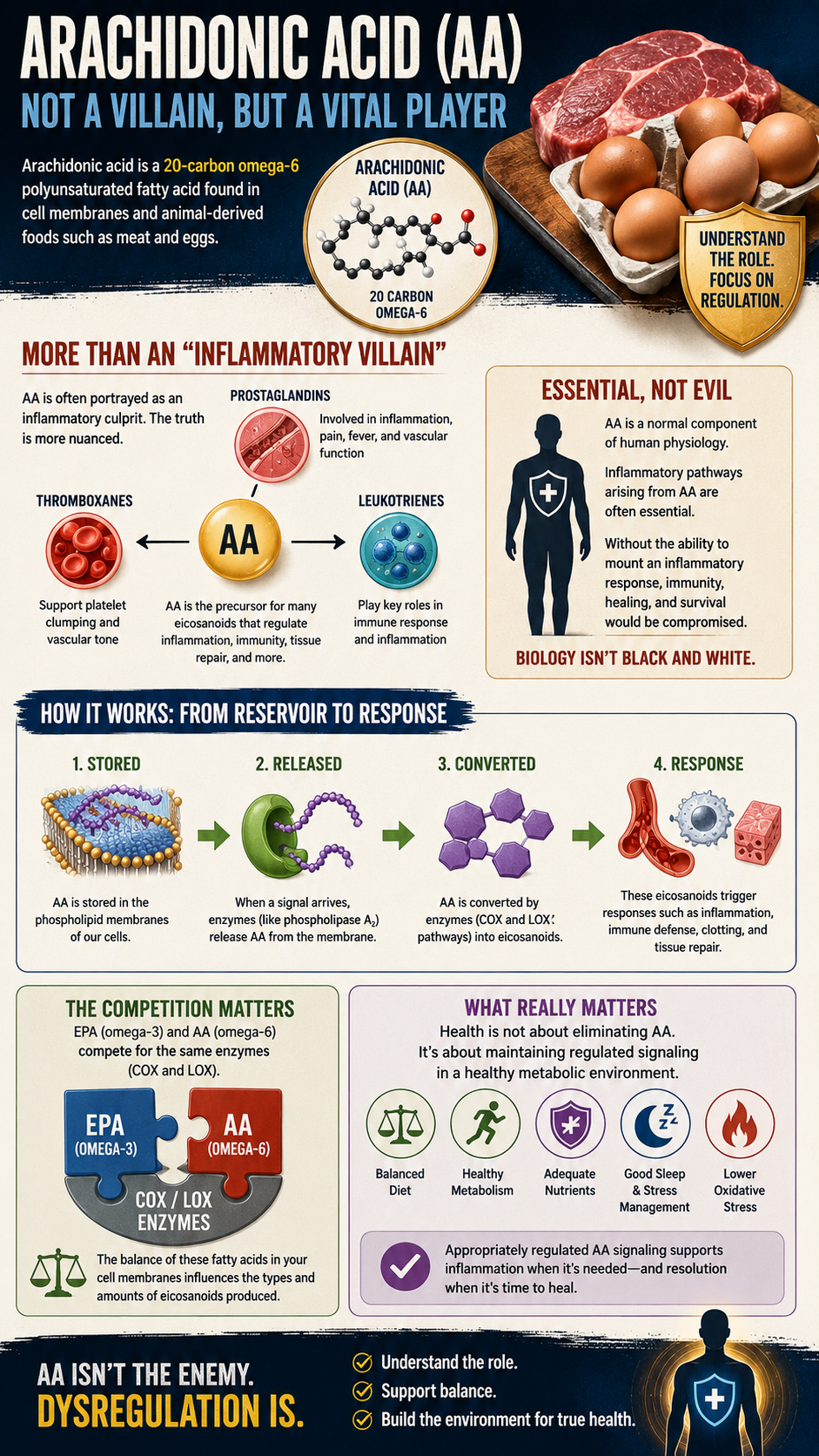 Arachidonic Acid Balance, Not Blame