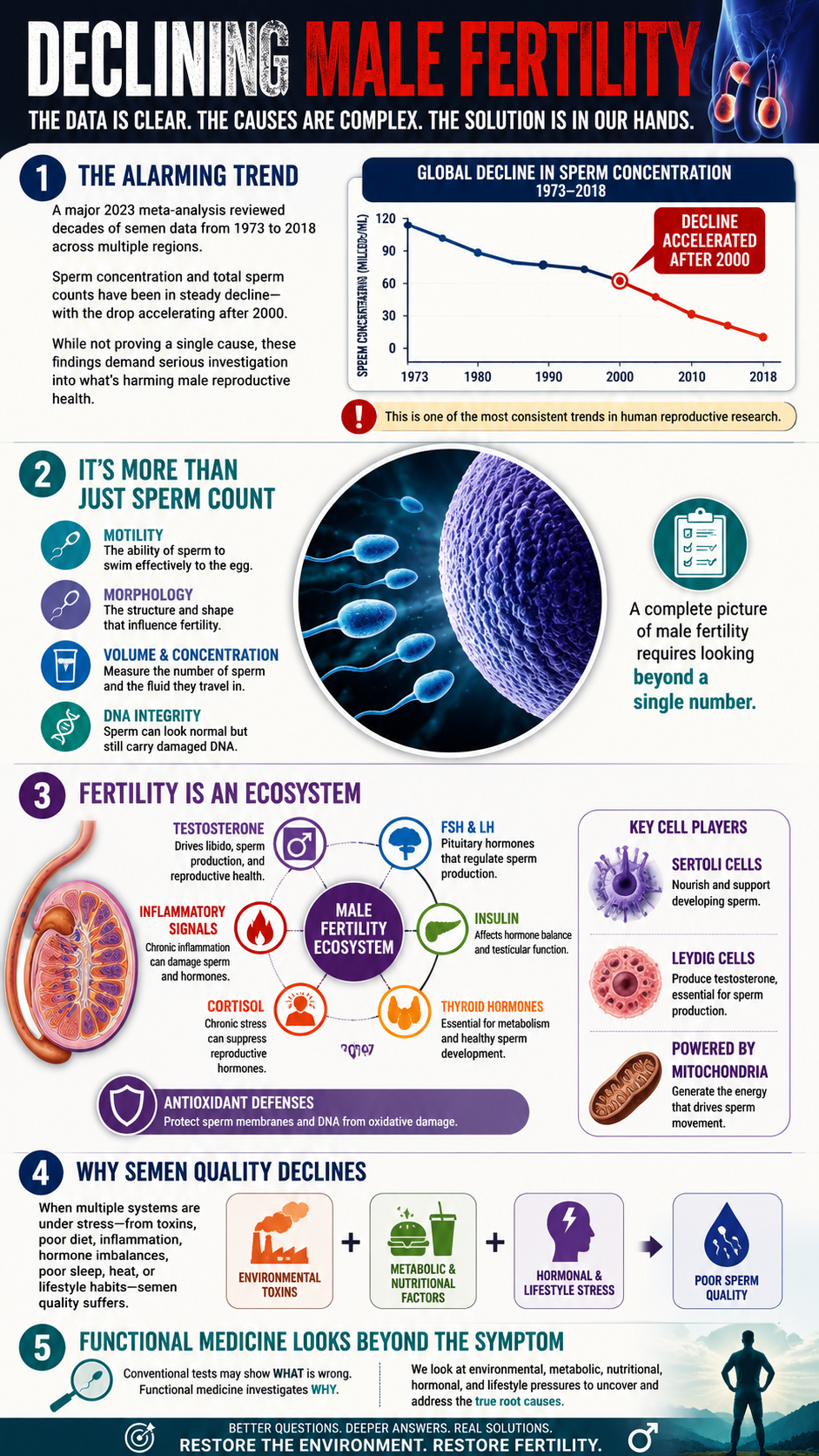 Declining Male Fertility The Bigger Picture