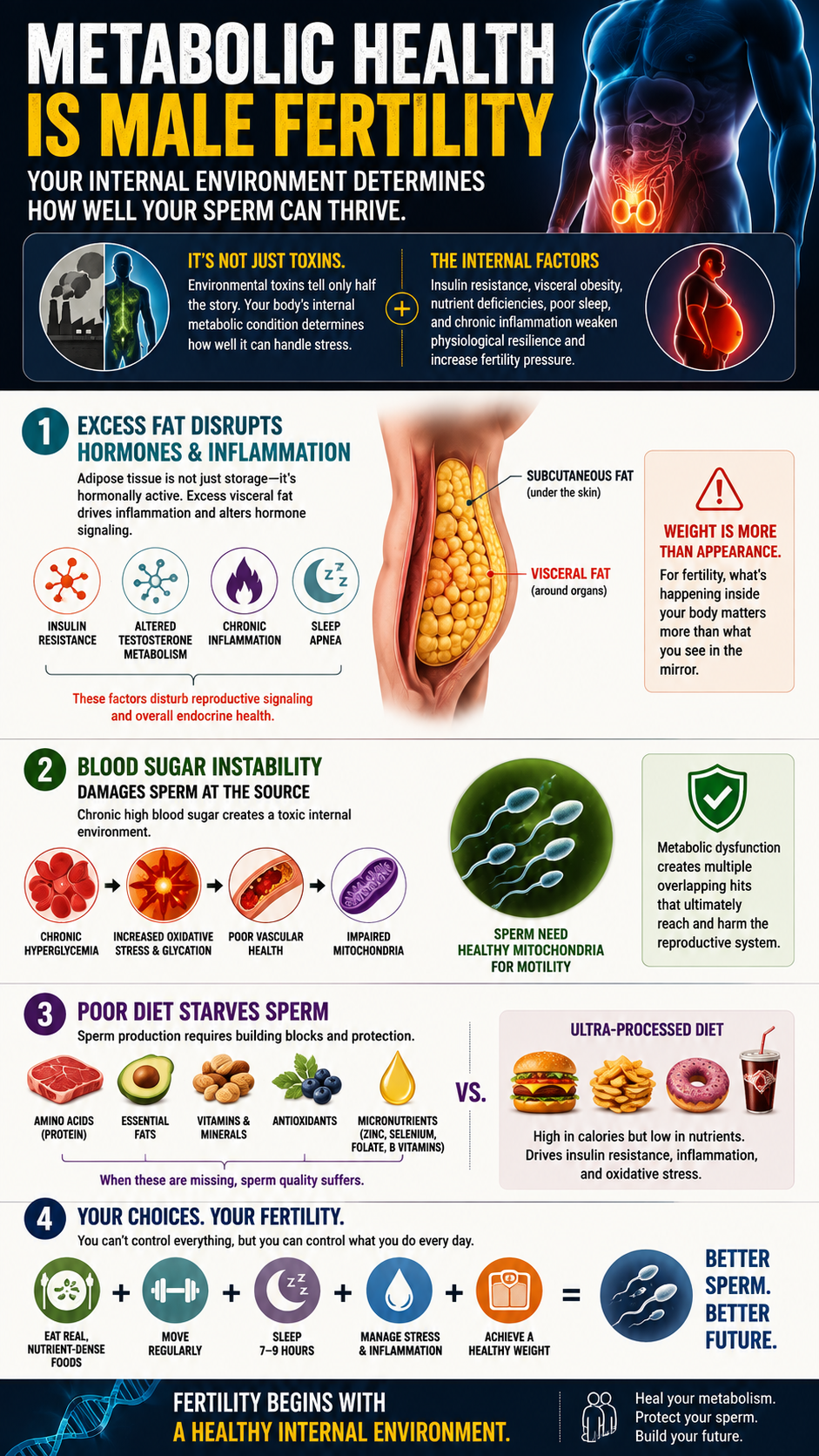 Metabolic Health and Male Fertility Infographic