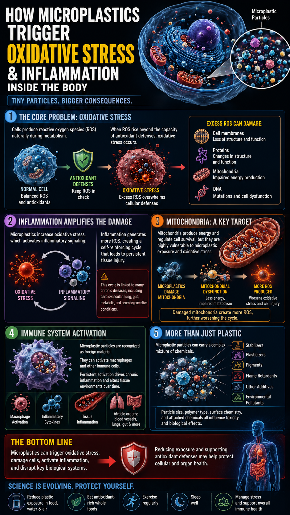 Microplastics and Cellular Health
