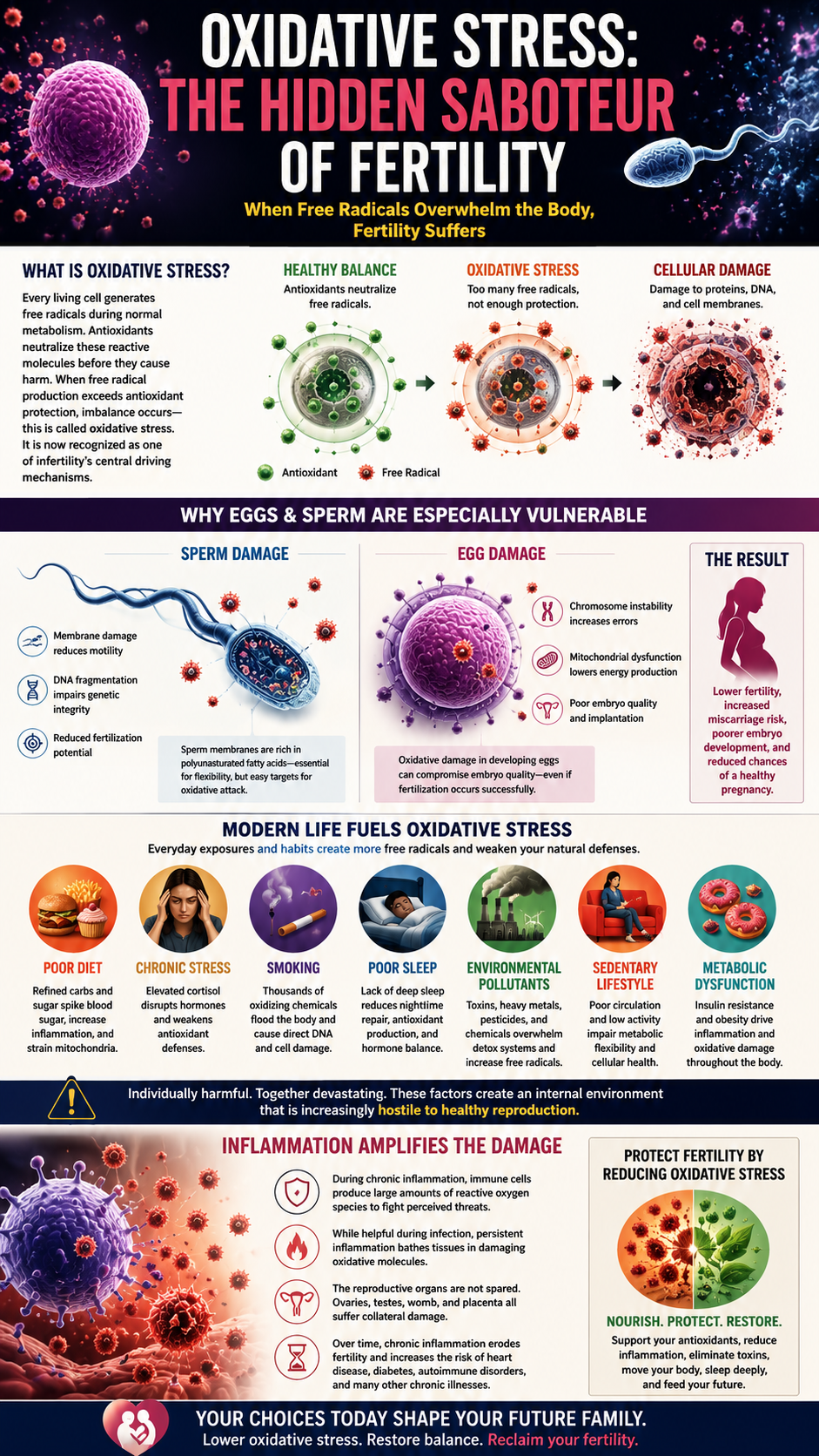 Oxidative Stress and Fertility Infographic
