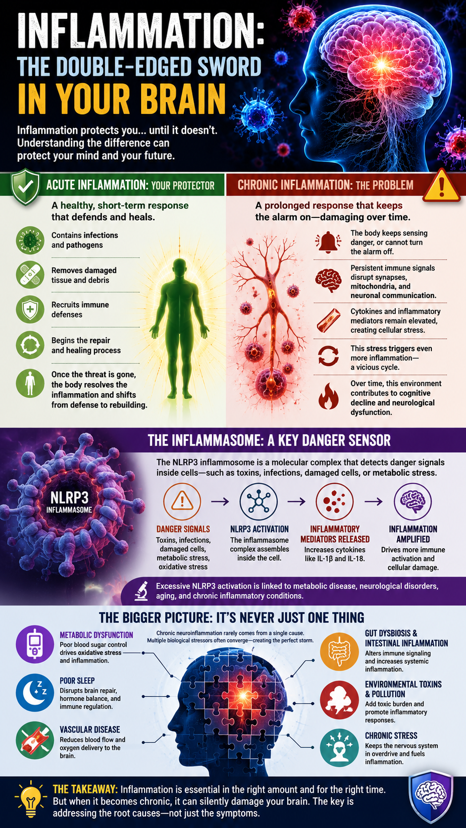 Inflammation The Brain’s Double-Edged Sword