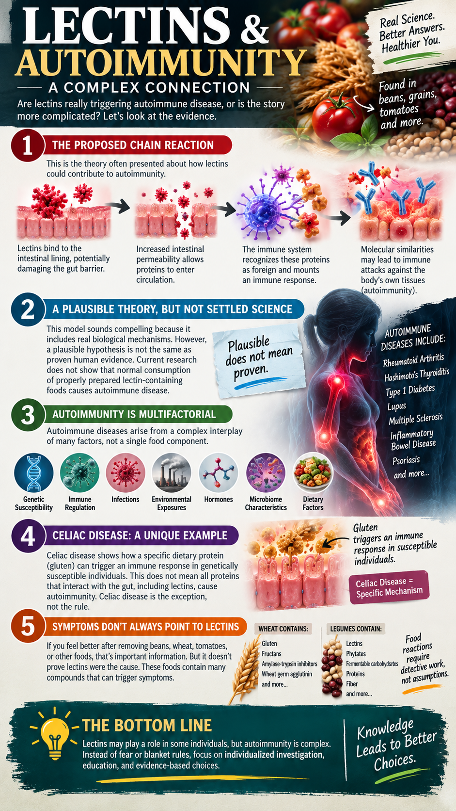 Lectins and Autoimmunity The Evidence