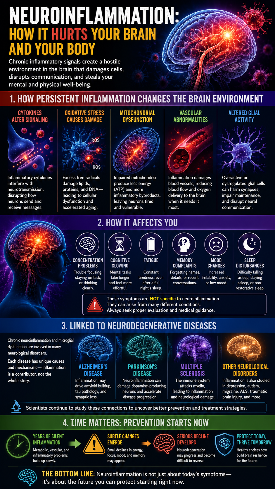 Neuroinflammation Protect Your Brain